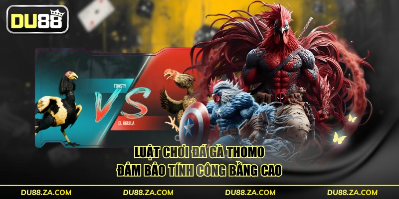 Đá Gà Thomo - Quy Mô Tổ Chức Hoành Tráng Với 50 Trận Đấu 3 Luật chơi đá gà Thomo đảm bảo tính công bằng cao