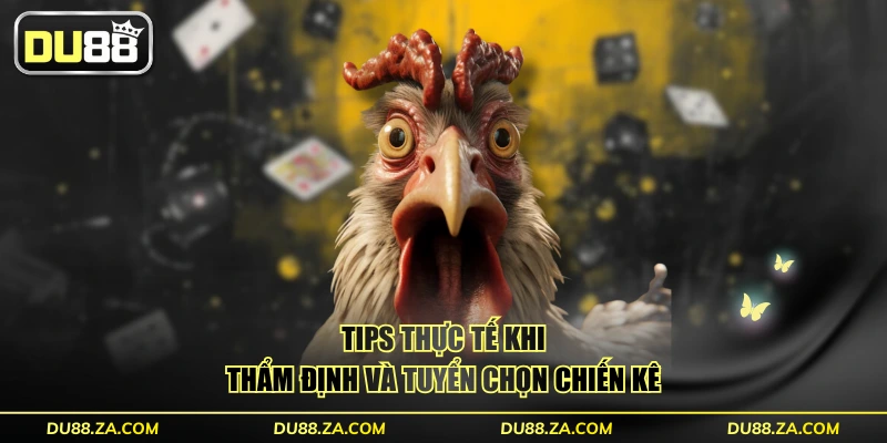 Tips thực tế khi thẩm định và tuyển chọn chiến kê